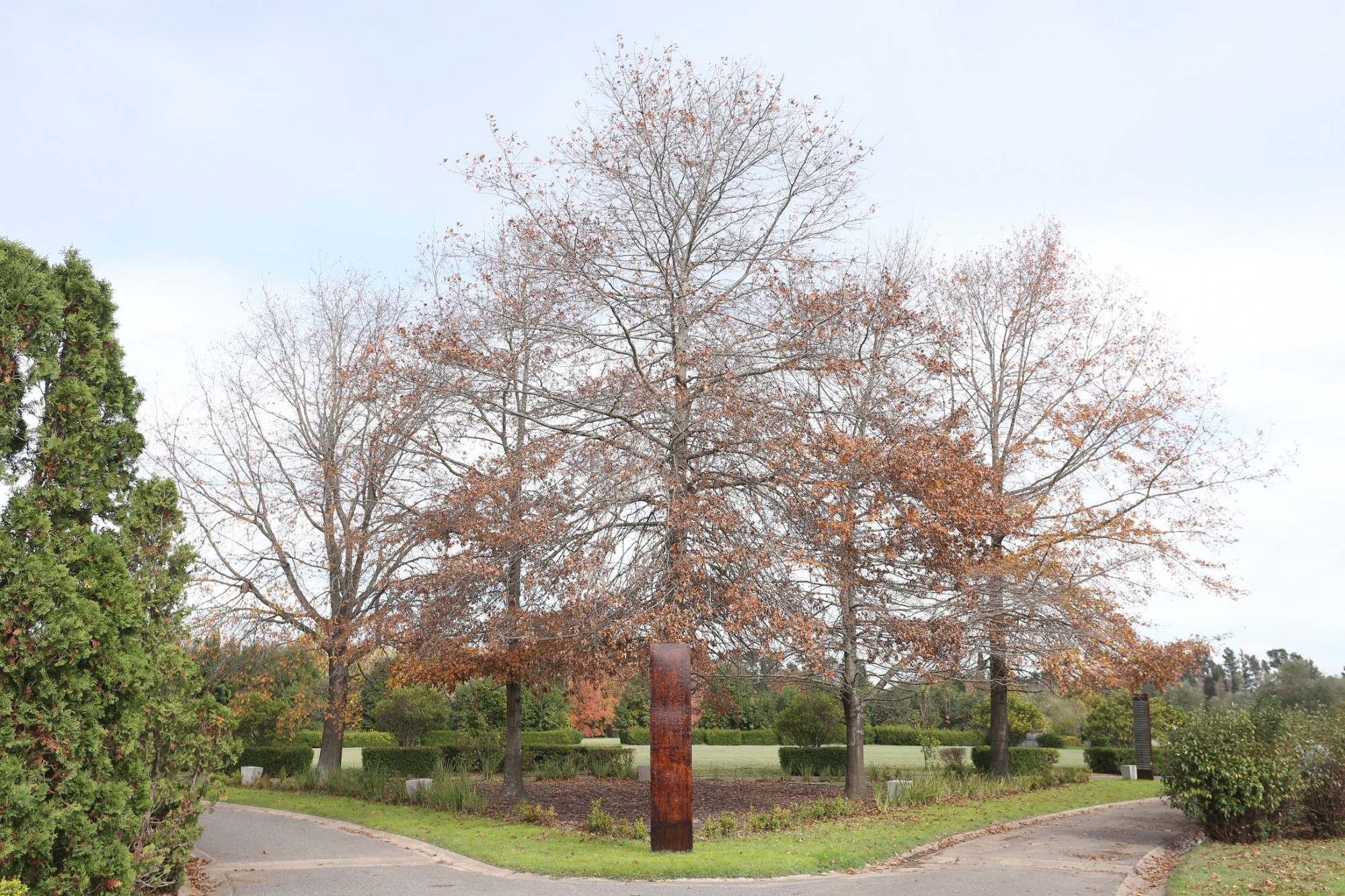 Espacio Cenizas Ecológico Memorial